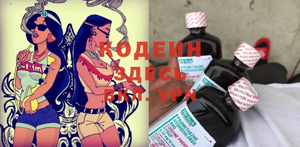 мет Каменка