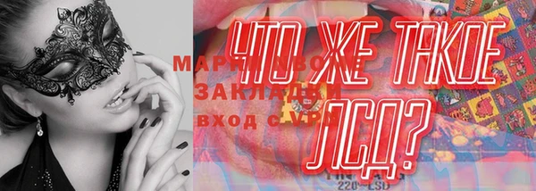 PSILOCYBIN Каменск-Шахтинский