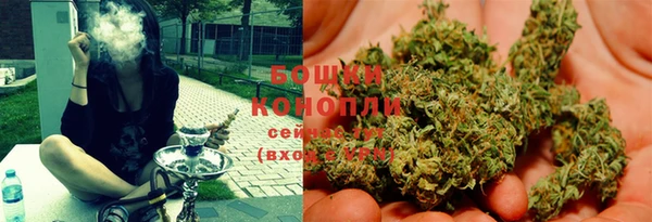 PSILOCYBIN Каменск-Шахтинский