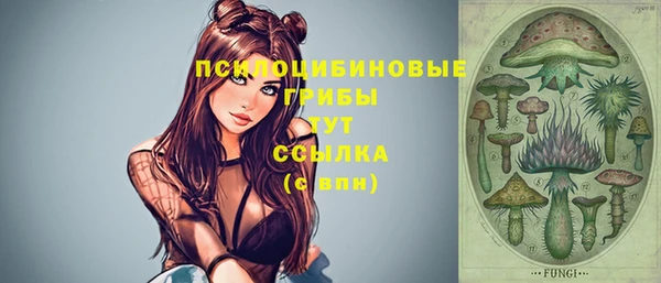 мет Каменка