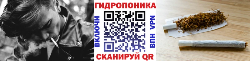 Купить где  Себеж  Марихуана OG Kush 